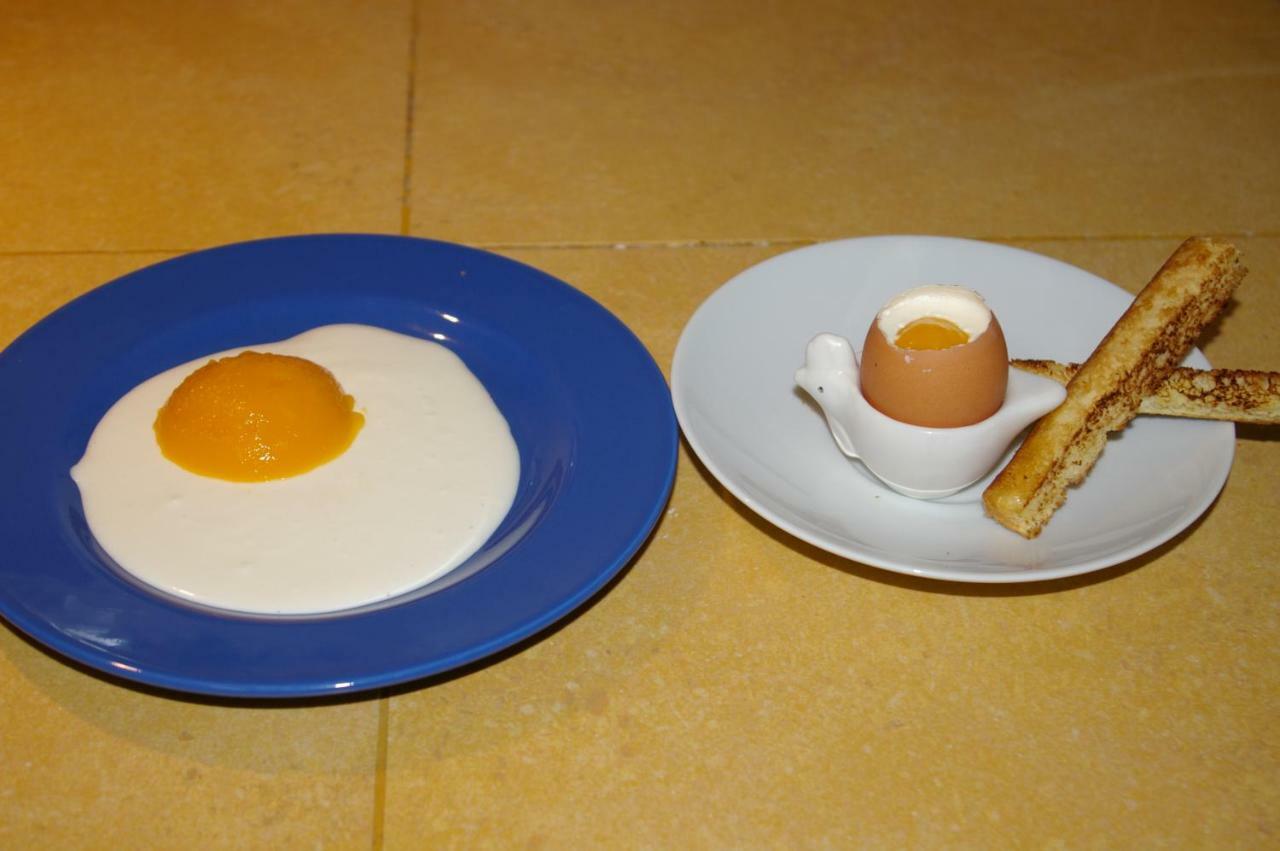 La Cognee Bed & Breakfast Cugnaux Ngoại thất bức ảnh